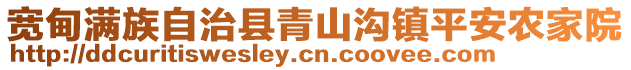 宽甸满族自治县青山沟镇平安农家院