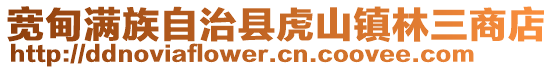 宽甸满族自治县虎山镇林三商店