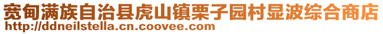 宽甸满族自治县虎山镇栗子园村显波综合商店