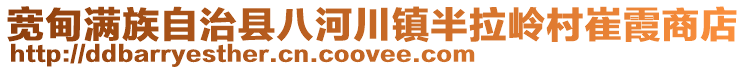 宽甸满族自治县八河川镇半拉岭村崔霞商店