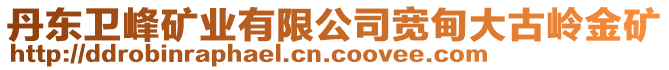 丹東衛(wèi)峰礦業(yè)有限公司寬甸大古嶺金礦