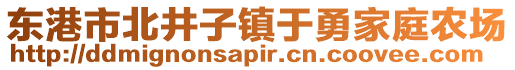 東港市北井子鎮(zhèn)于勇家庭農(nóng)場