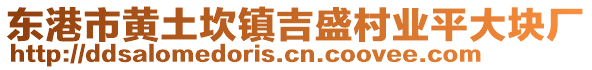 東港市黃土坎鎮(zhèn)吉盛村業(yè)平大塊廠