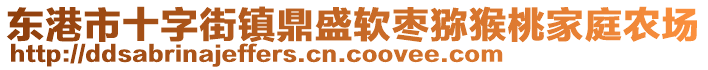 東港市十字街鎮(zhèn)鼎盛軟棗獼猴桃家庭農(nóng)場