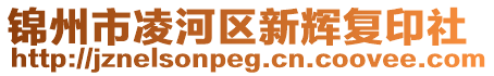 锦州市凌河区新辉复印社