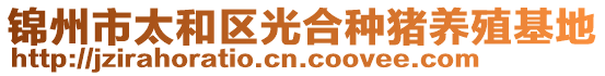 錦州市太和區(qū)光合種豬養(yǎng)殖基地