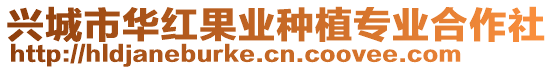 興城市華紅果業(yè)種植專業(yè)合作社