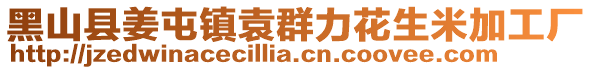 黑山縣姜屯鎮(zhèn)袁群力花生米加工廠