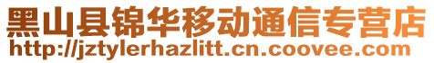 黑山縣錦華移動通信專營店