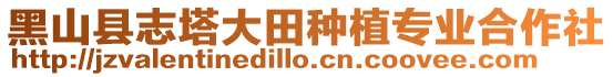 黑山縣志塔大田種植專業合作社