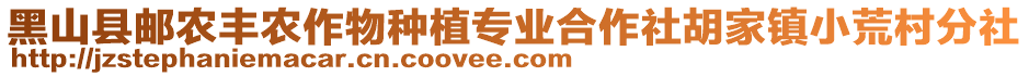 黑山縣郵農(nóng)豐農(nóng)作物種植專業(yè)合作社胡家鎮(zhèn)小荒村分社