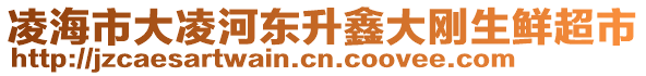 凌海市大凌河東升鑫大剛生鮮超市