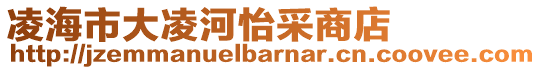 凌海市大凌河怡采商店
