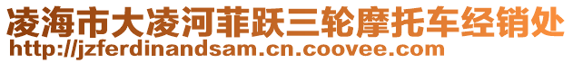 凌海市大凌河菲躍三輪摩托車經(jīng)銷處