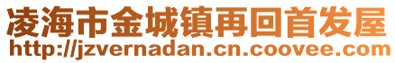 凌海市金城鎮(zhèn)再回首發(fā)屋