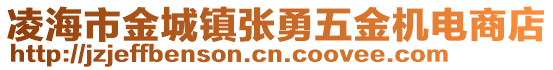 凌海市金城镇张勇五金机电商店