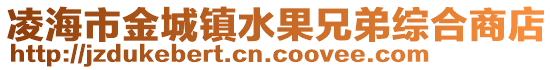 凌海市金城鎮(zhèn)水果兄弟綜合商店