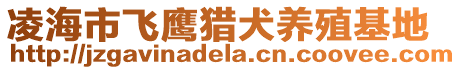 凌海市飛鷹獵犬養(yǎng)殖基地