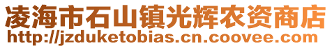 凌海市石山鎮(zhèn)光輝農(nóng)資商店