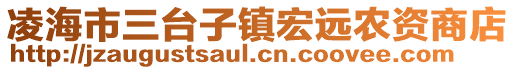 凌海市三臺子鎮(zhèn)宏遠農(nóng)資商店