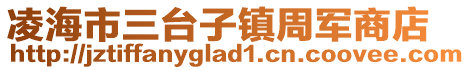 凌海市三臺子鎮周軍商店