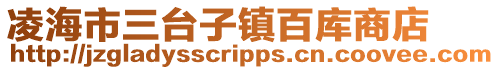 凌海市三臺子鎮百庫商店
