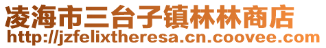 凌海市三臺子鎮林林商店