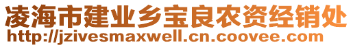 凌海市建業鄉寶良農資經銷處