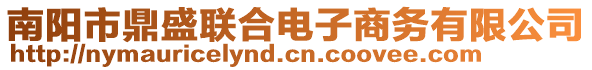 南陽市鼎盛聯(lián)合電子商務(wù)有限公司