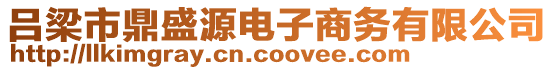 呂梁市鼎盛源電子商務(wù)有限公司