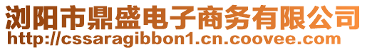 瀏陽市鼎盛電子商務有限公司