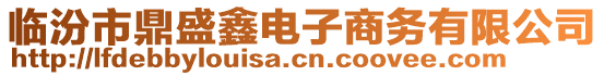 臨汾市鼎盛鑫電子商務(wù)有限公司