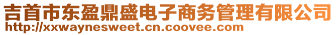 吉首市東盈鼎盛電子商務(wù)管理有限公司