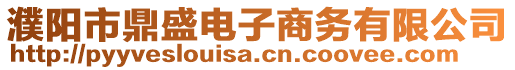 濮陽(yáng)市鼎盛電子商務(wù)有限公司