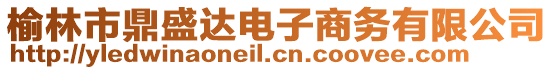 榆林市鼎盛達電子商務有限公司