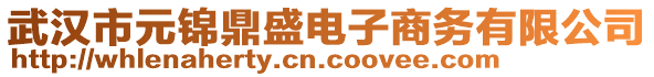 武漢市元錦鼎盛電子商務(wù)有限公司