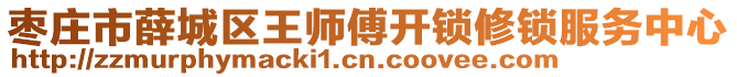 棗莊市薛城區(qū)王師傅開(kāi)鎖修鎖服務(wù)中心