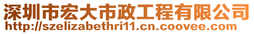 深圳市宏大市政工程有限公司