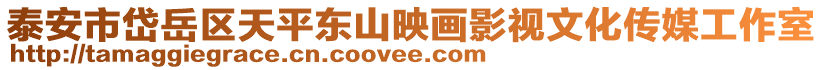 泰安市岱岳區(qū)天平東山映畫影視文化傳媒工作室