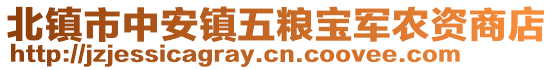 北鎮(zhèn)市中安鎮(zhèn)五糧寶軍農(nóng)資商店