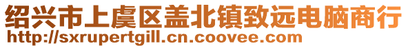 紹興市上虞區(qū)蓋北鎮(zhèn)致遠(yuǎn)電腦商行