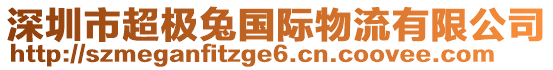 深圳市超極兔國際物流有限公司