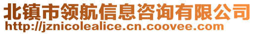 北鎮(zhèn)市領(lǐng)航信息咨詢有限公司