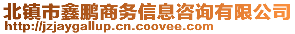 北镇市鑫鹏商务信息咨询有限公司