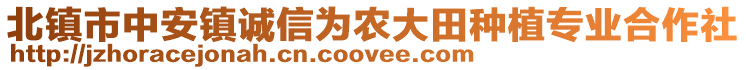 北鎮(zhèn)市中安鎮(zhèn)誠信為農(nóng)大田種植專業(yè)合作社