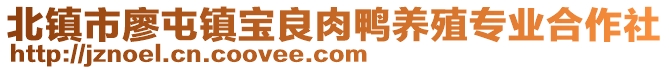 北鎮(zhèn)市廖屯鎮(zhèn)寶良肉鴨養(yǎng)殖專業(yè)合作社