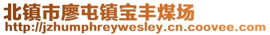 北鎮(zhèn)市廖屯鎮(zhèn)寶豐煤場