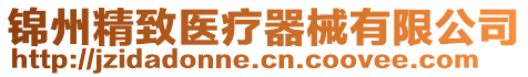 錦州精致醫(yī)療器械有限公司