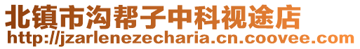 北鎮市溝幫子中科視途店
