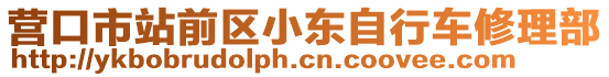 營(yíng)口市站前區(qū)小東自行車修理部